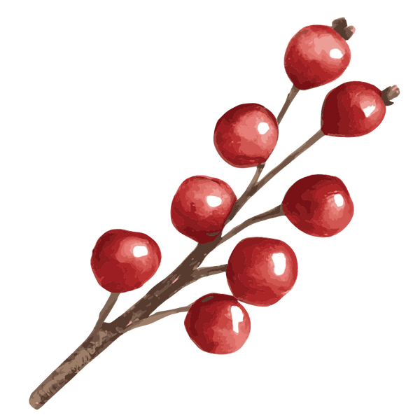 Christmas Window & Wall | Reusable Sticker Decals