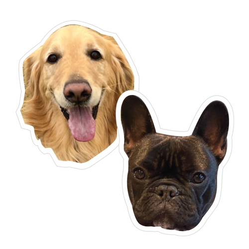 Doggy Decals | Personalised Pet Vinyl Stickers