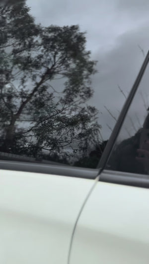 Doggy Decals | Personalised Pet Vinyl Stickers