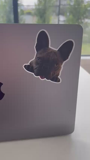 Doggy Decals | Personalised Pet Vinyl Stickers