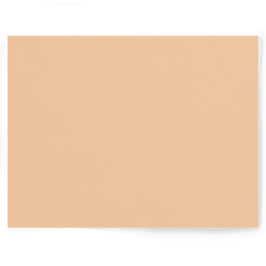 Caramel, beige peach photography vinyl backdrop - backdrop collective melbourne australia