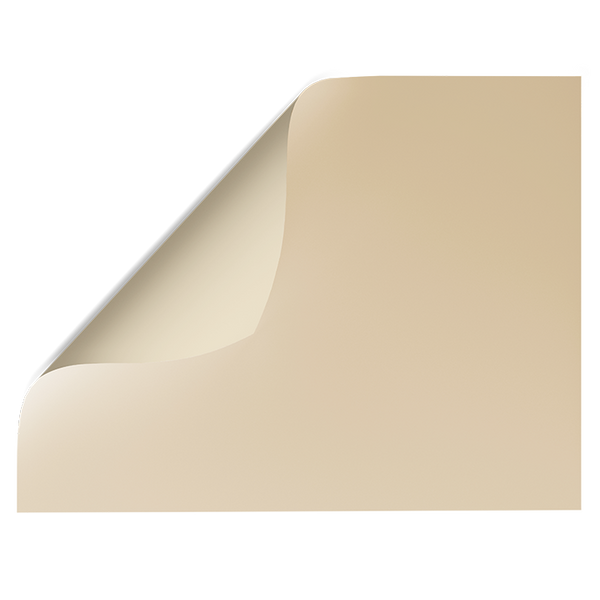 Beige Solid Colour | Double-sided Backdrops
