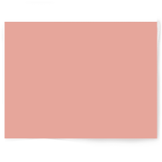 Pink Floral | Single-sided Backdrop