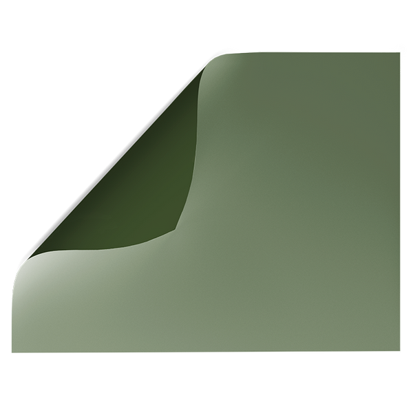 Green Solid Colour | Double-sided Backdrops