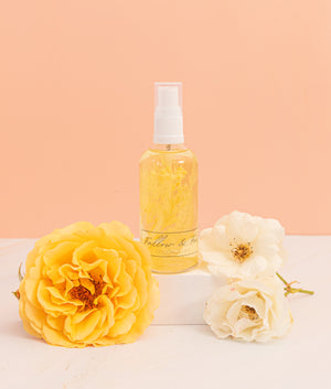 Peach + Orange Solid Colour | Single-sided Backdrops