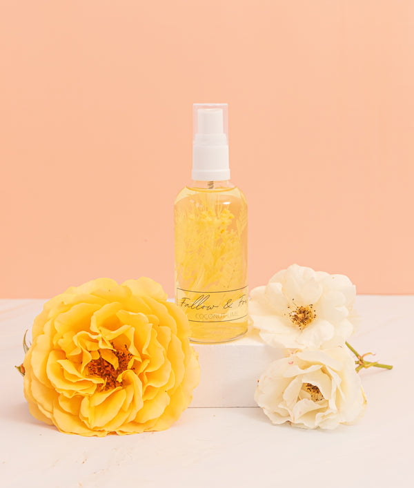 Peach + Orange Solid Colour | Single-sided Backdrops