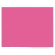 Flamingo Hot Pink | Single-sided Backdrop