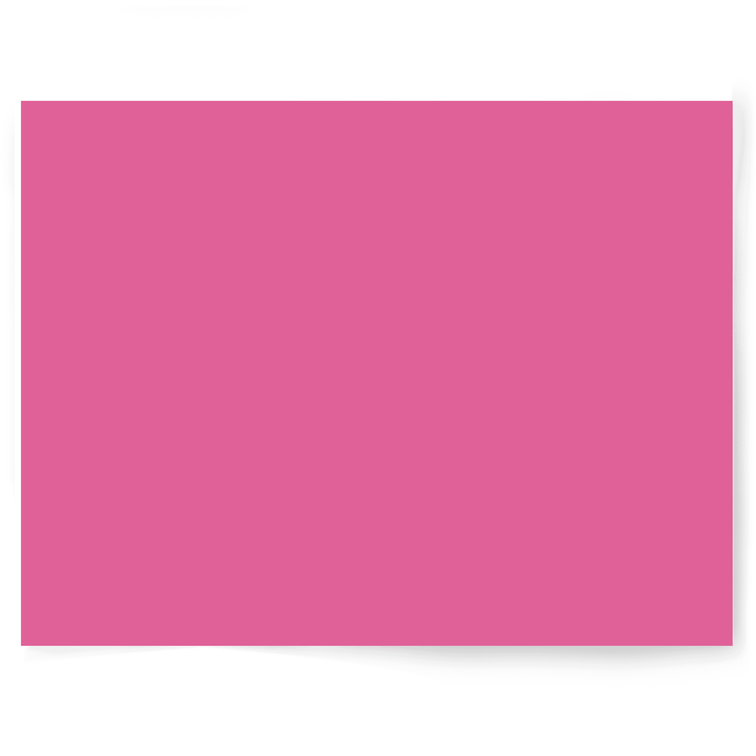 Flamingo Hot Pink | Single-sided Backdrop