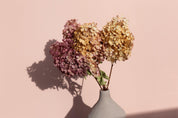 dried hydrangeas photographed on dusty rose pink double-sided photography vinyl backdrop - backdrop collective