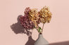 dried hydrangeas photographed on dusty rose pink double-sided photography vinyl backdrop - backdrop collective