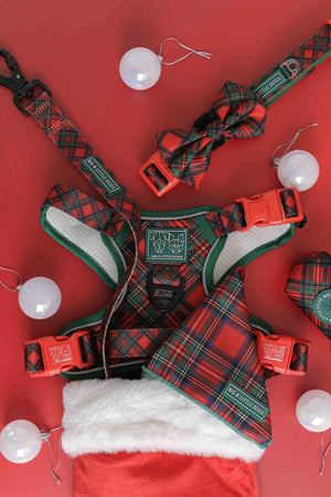 Red Solid Colour | Double-sided Backdrops