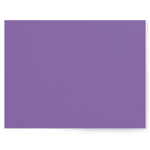Purple Solid Colour | Single-sided Backdrops