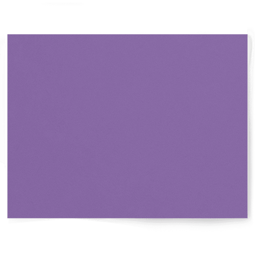 Purple Solid Colour Single-sided Backdrop Range