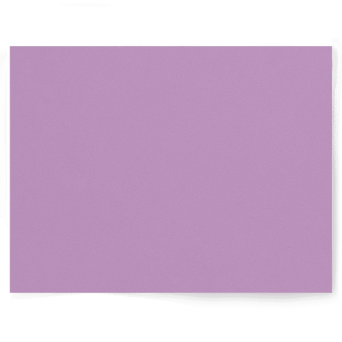 Purple Solid Colour | Single-sided Backdrops