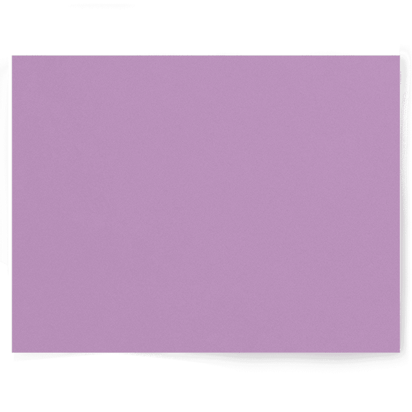 Purple Solid Colour Single-sided Backdrop Range