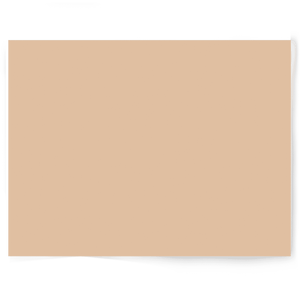 Beige + Brown Solid Colour | Single-sided Backdrops