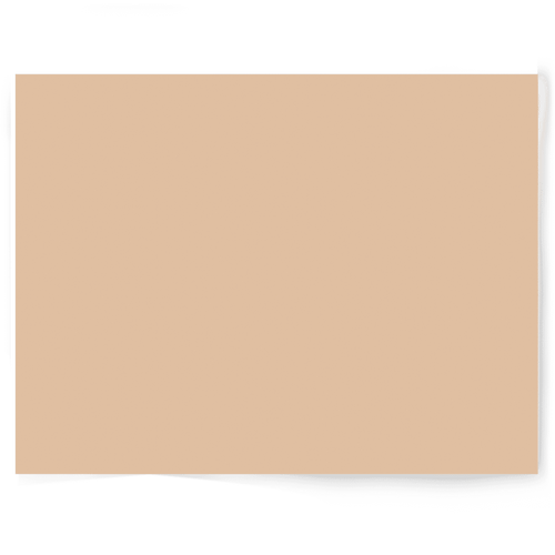 Beige + Brown Solid Colour Single-sided Backdrop Range