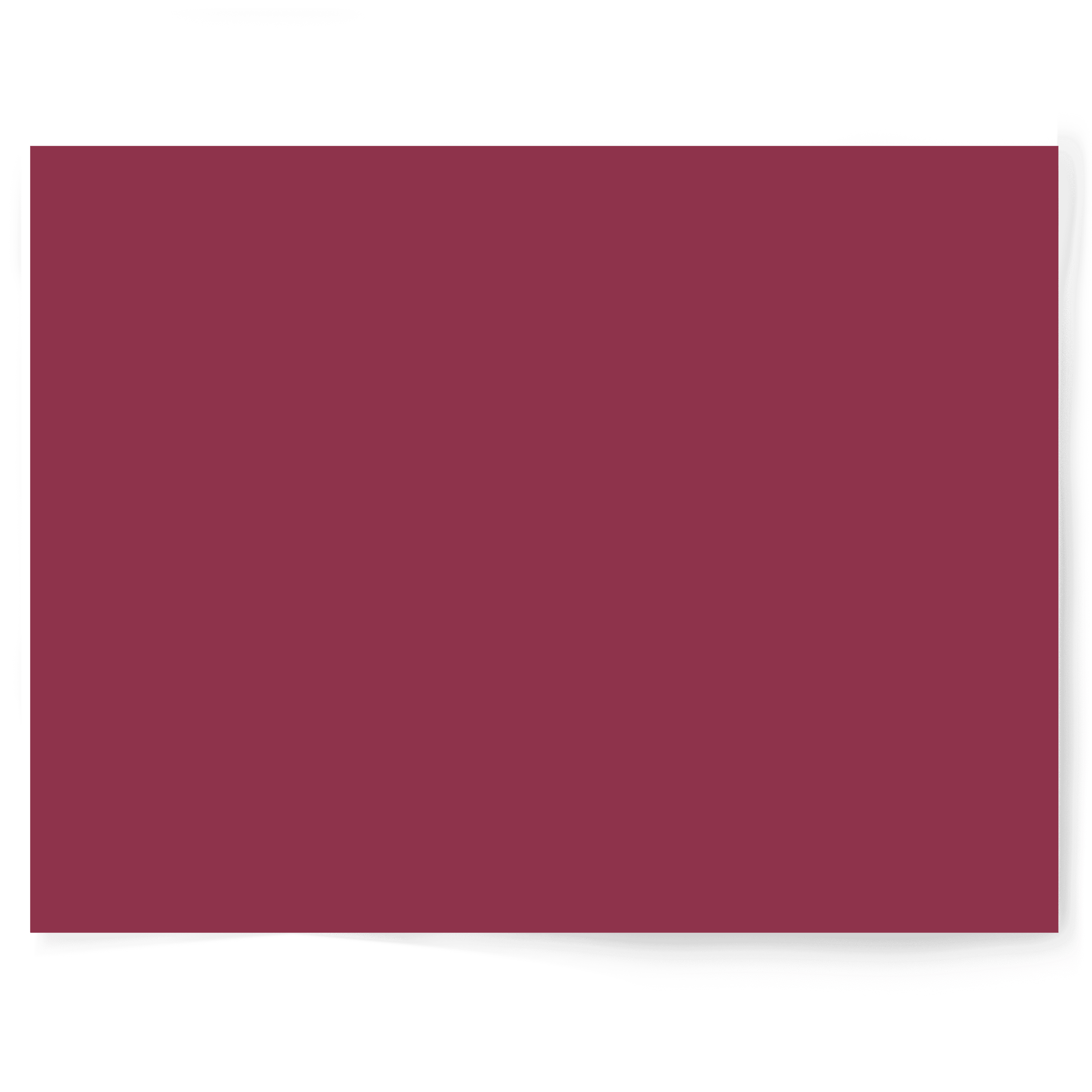 Pink Berry photography vinyl backdrop - backdrop collective