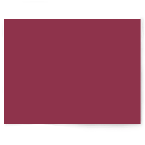 Pink Berry photography vinyl backdrop - backdrop collective