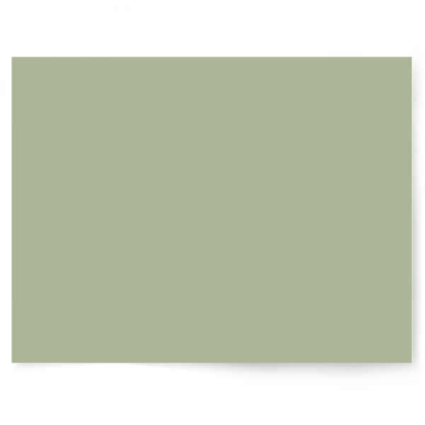 Green Solid Colour Single-sided Backdrop Range