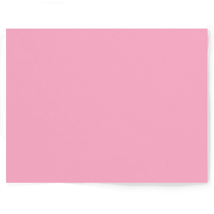 Peony Pink light baby pink solid colour Double-sided Backdrops - Backdrop Collective