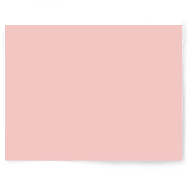 Pink Solid Colour Single-sided Backdrop Range