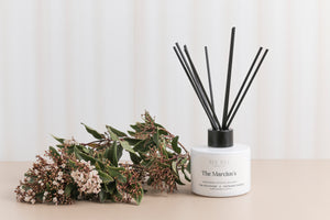 Lifestyle Realistic | Single-sided Backdrops