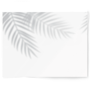Shadow | Single-sided Backdrops