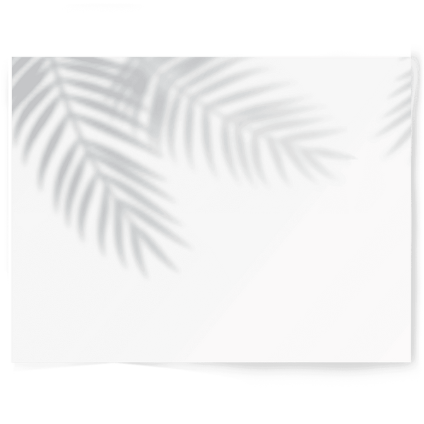 Shadow | Single-sided Backdrops