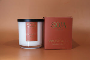 Orange & Peach Solid Colour | Double-sided Backdrops