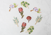 Custom Design Decal Packs | Reusable Vinyl Decals