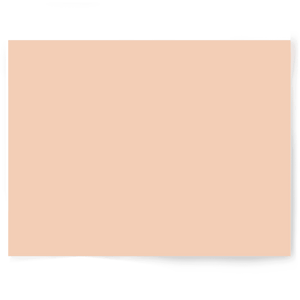 Beige + Brown Solid Colour | Single-sided Backdrops