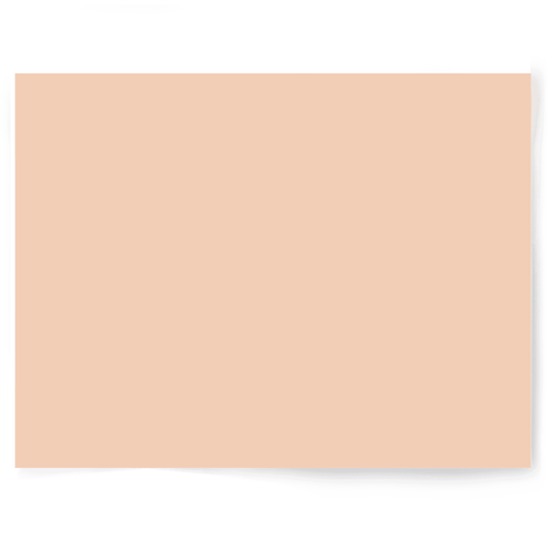 Beige + Brown Solid Colour | Single-sided Backdrops