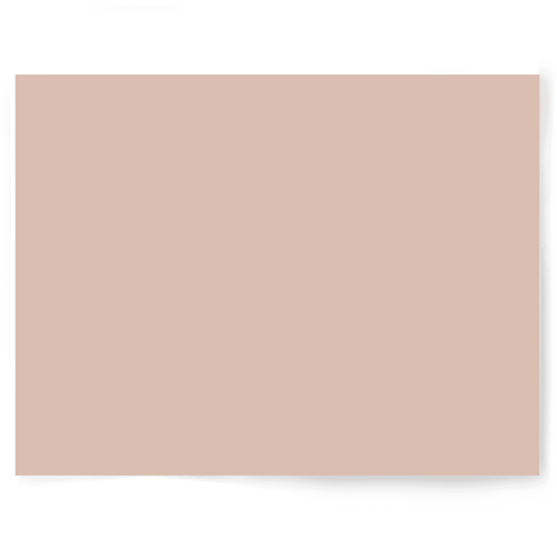 Beige + Brown Solid Colour Single-sided Backdrop Range