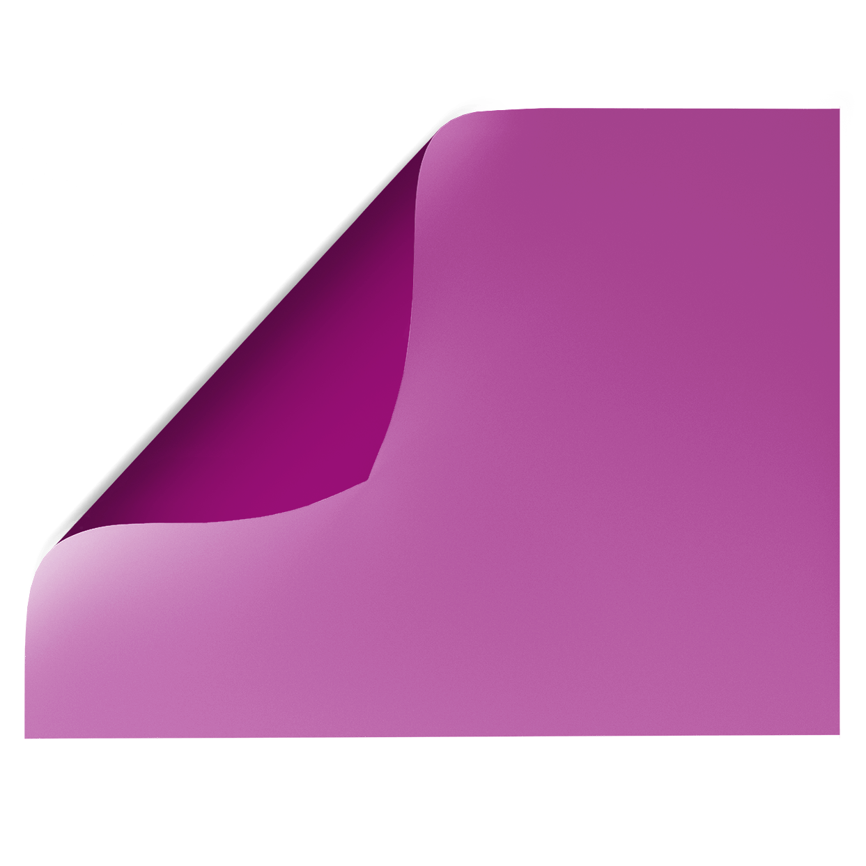 Violet | Purple Double-sided Backdrop