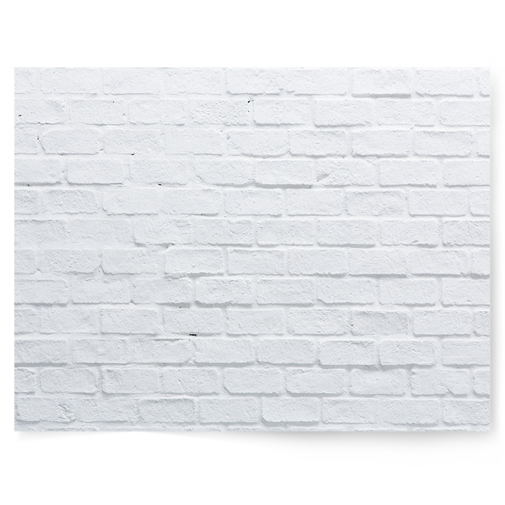 Whitewash Brick | Single-sided Backdrop