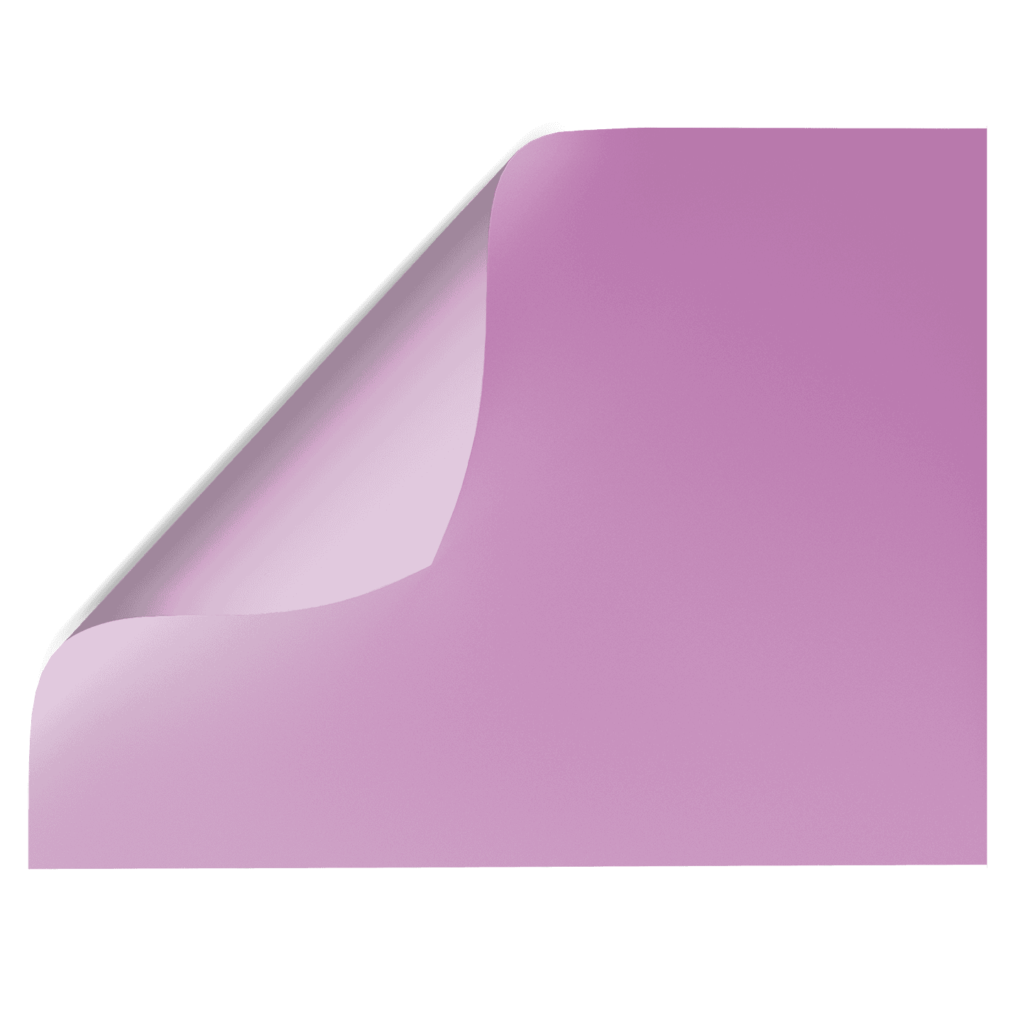 Wisteria | Purple Double-sided Backdrop