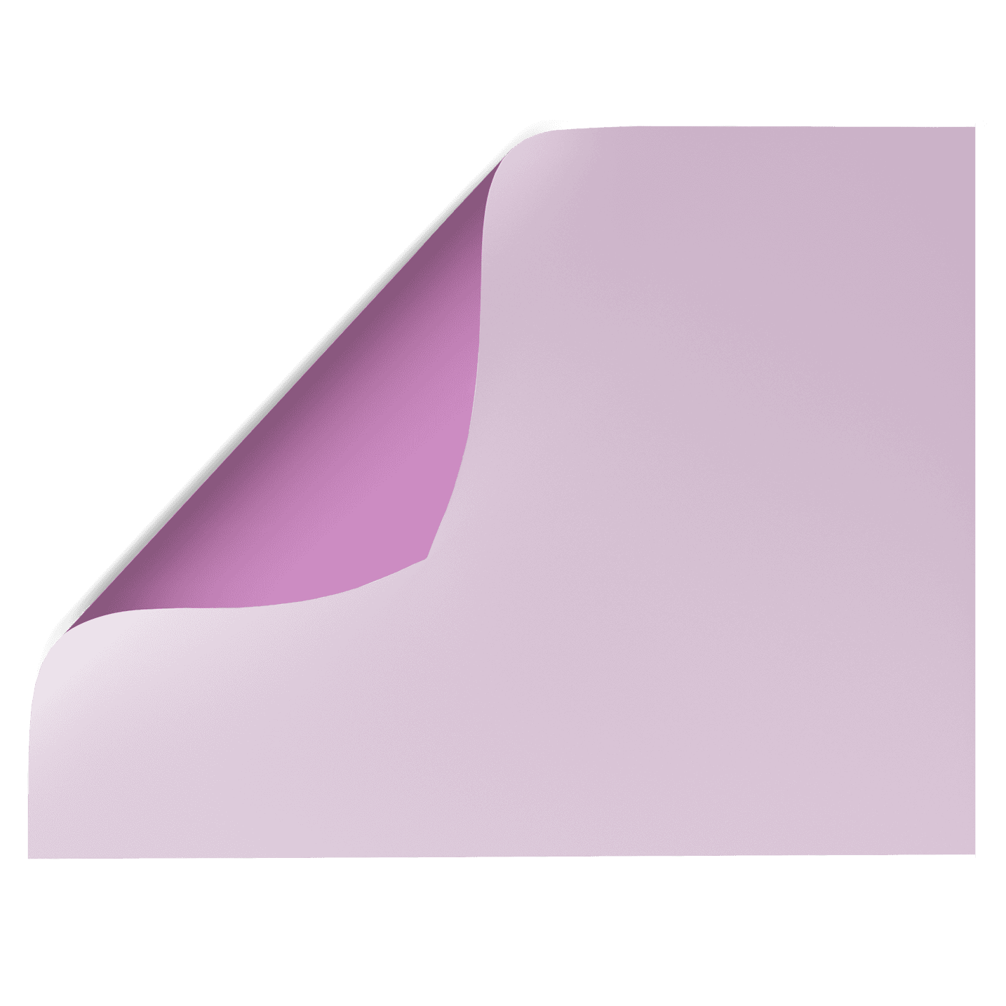 Wisteria | Purple Double-sided Backdrop