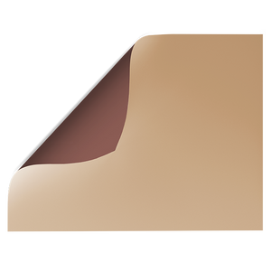 Beige Solid Colour | Double-sided Backdrops