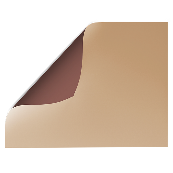 Beige Solid Colour | Double-sided Backdrops