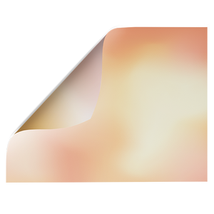 Gradient | Double-sided Backdrops