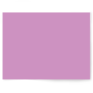 Purple Solid Colour | Single-sided Backdrops