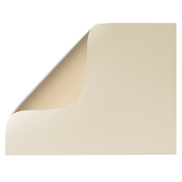Beige Solid Colour | Double-sided Backdrops