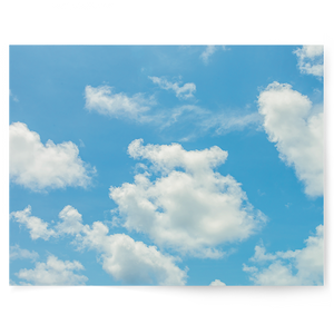 Cloud | Single-sided Backdrops