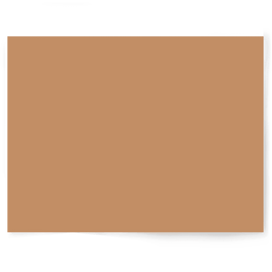 Beige + Brown Solid Colour | Single-sided Backdrops