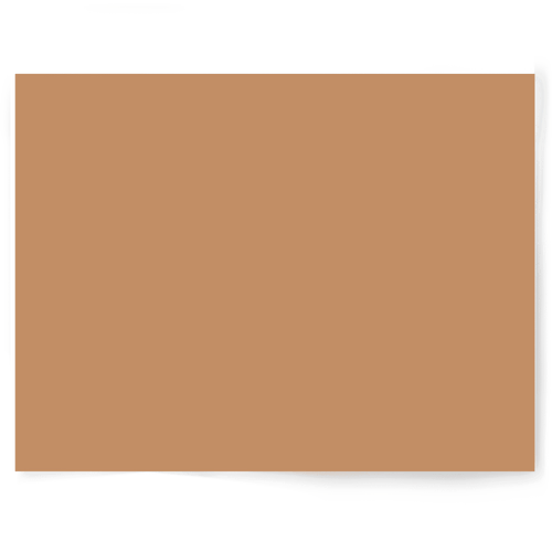 Beige + Brown Solid Colour Single-sided Backdrop Range
