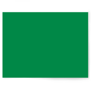 Deep Jungle Green | Single-sided Backdrop