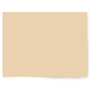Christmas Solid Colour | Single-sided Backdrops