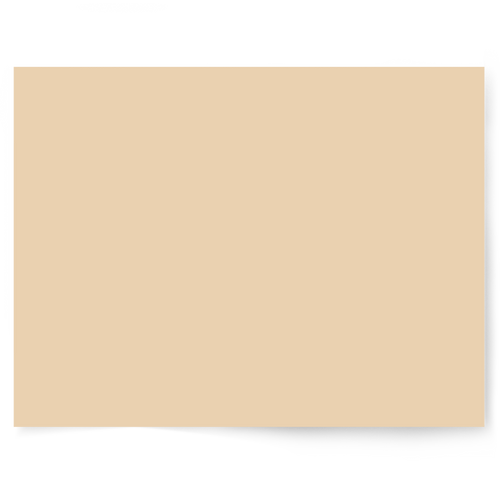 Beige + Brown Solid Colour Single-sided Backdrop Range