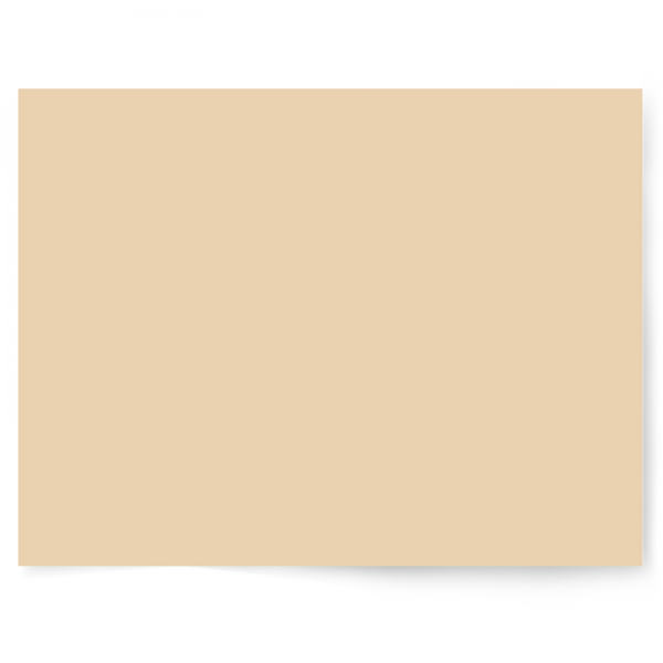 Christmas Solid Colour | Single-sided Backdrops